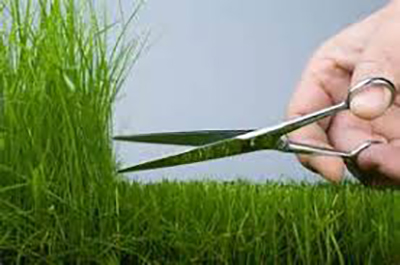Cutting grass