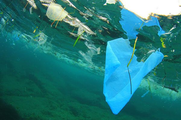 marine plastic waste