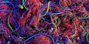  Does the Coding for Polyamides Mean Anything to Designers and Processors?