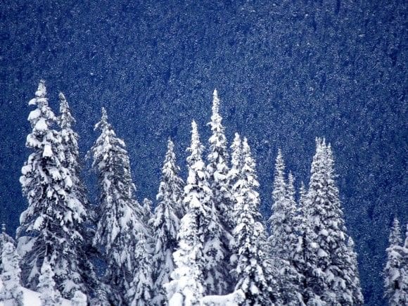  Let it Snow, Let it Snow…