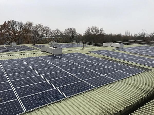  Life is ‘Greener’ at LVS
