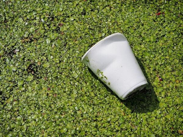  RECOUP UK Household Plastics Collection Survey Points to Material Quality Challenge