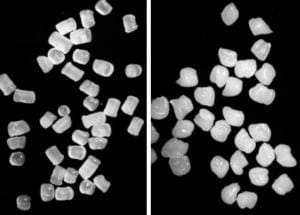 Davis-Standard - Issue 13: Non-Uniform Pellets in Length, Size, or Shape