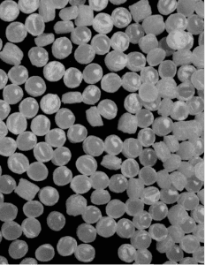 Davis-Standard - Issue 10: Surface or Melt Fracture