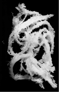 Davis-Standard - Issue 11: Trash or Shavings