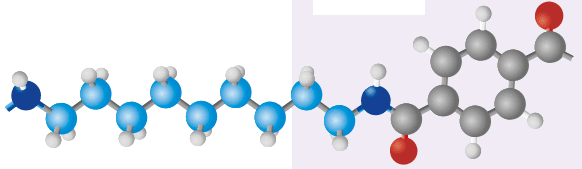 LATI: PA9T chain