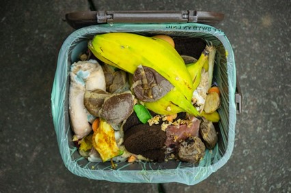 Compostable bag within caddy