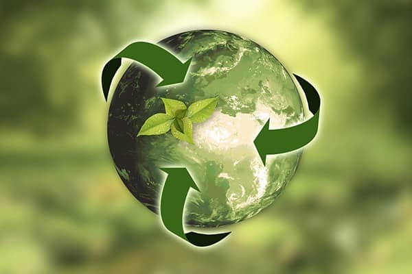 Rutland Plastics Green Growth Programme