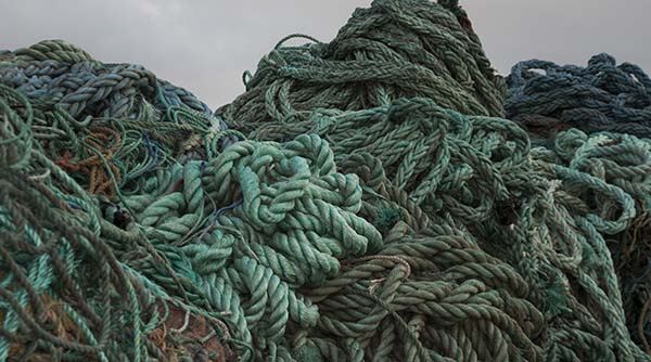 Maritime rope
