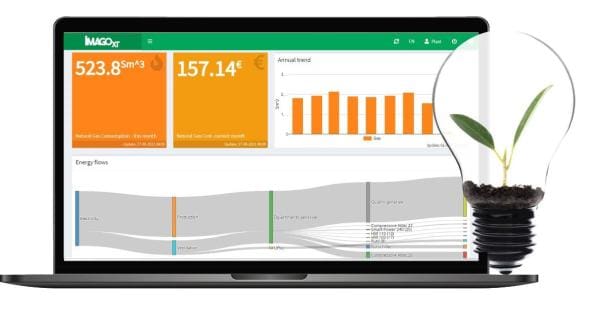 Fig. 1: IMAGOxt interface