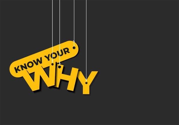The What, How Why of ISO Consultants EmmersonWills
