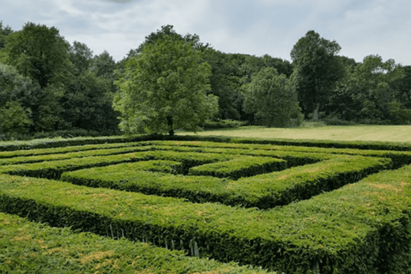 Maze in a a field