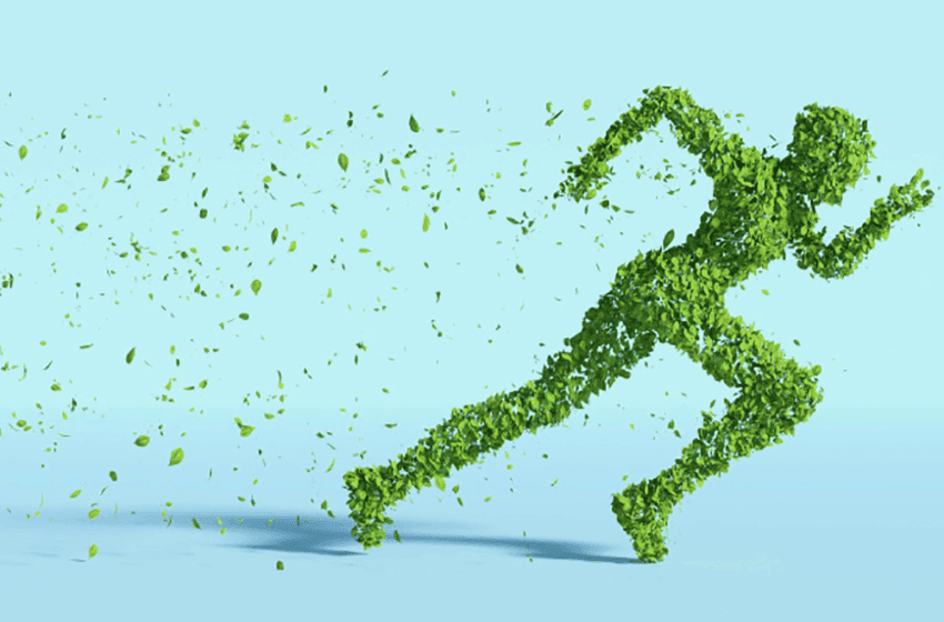  PlastikCity Insurance Blog // Why Your Business Needs Environmental Liability Insurance