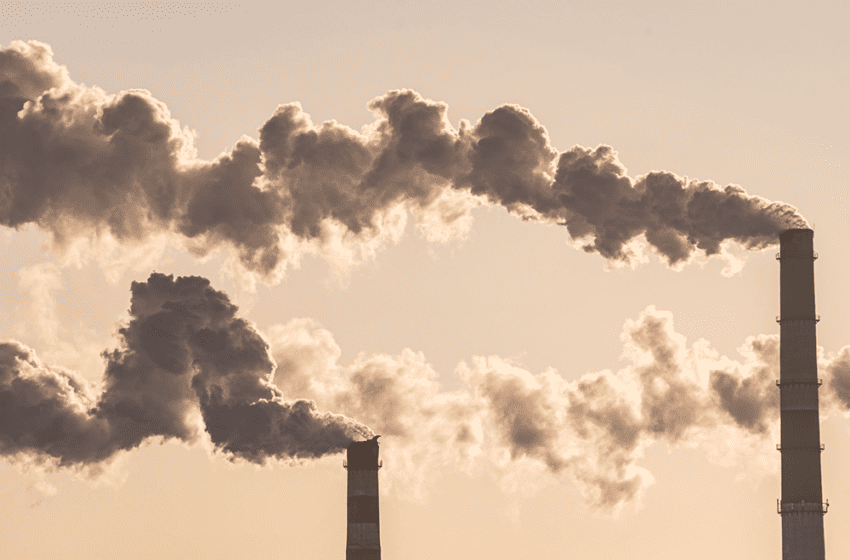  What Do Carbon Reduction Consultants Actually Do? // EmmersonWills Blog