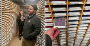 VeriVide’s colour library with two people browsing tall sample archives and a close-up of a labelled colour swatch being retrieved.