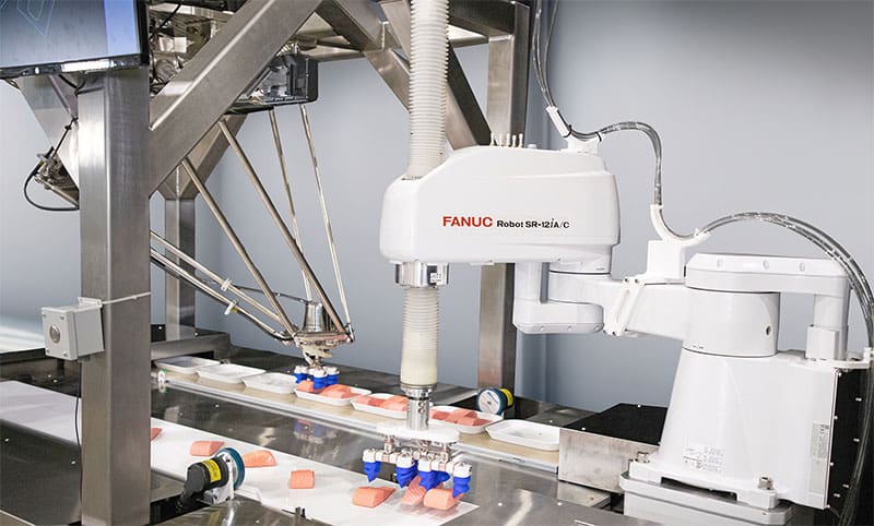 FANUC SI
